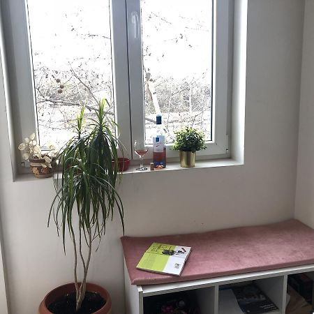 Studio 50 With Terrace Beograd Bagian luar foto